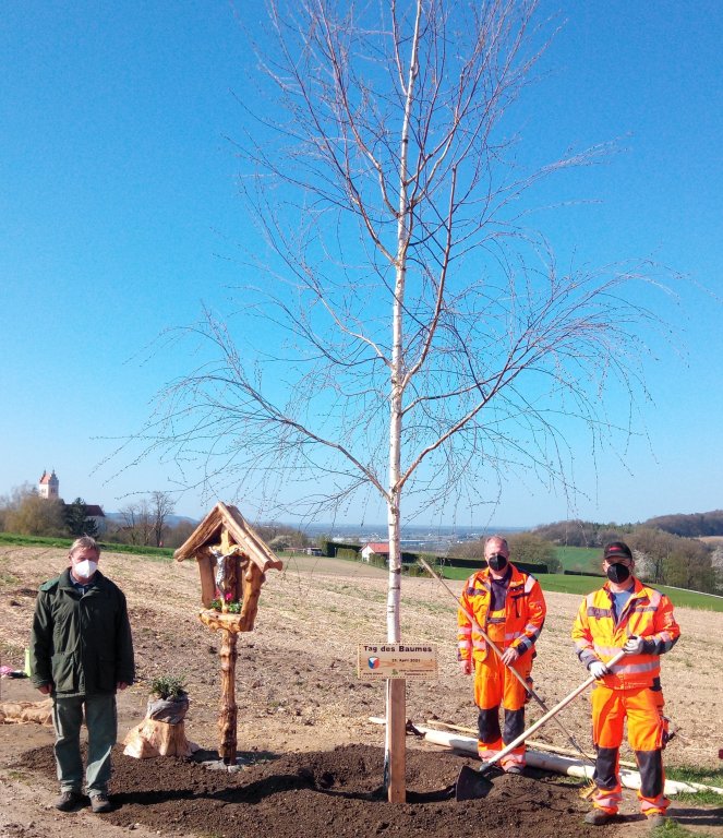 Tag des Baumes 2021 Tag des Baumes 2021