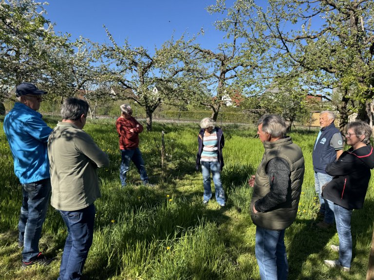 2026-04-24 Obstgarten_Gartenbauverein Altdorf_IDENTITÄT & IMAGE_1